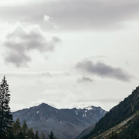 Alpen Und Gams * Neurur