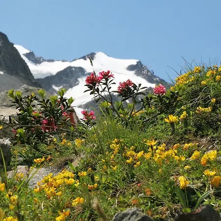 Alpen Und Gams